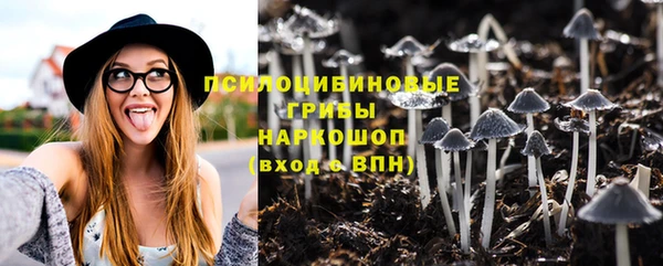 гашиш Ельня