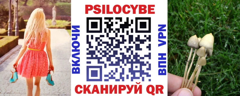 Купить  Коряжма  Галлюциногенные грибы прущие грибы 