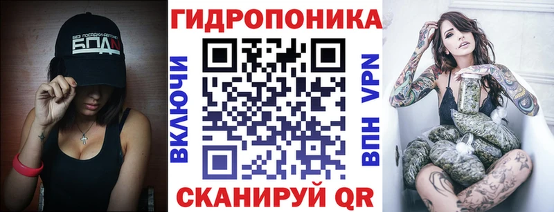 Шишки марихуана сатива  Купить  Коряжма 